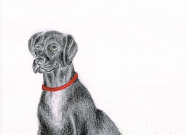 Die spinnen, die Zweibeiner