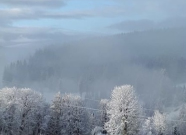 Die Stimme aus den Alpen