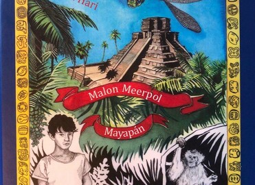 Das geheimnisvolle blaue Buch